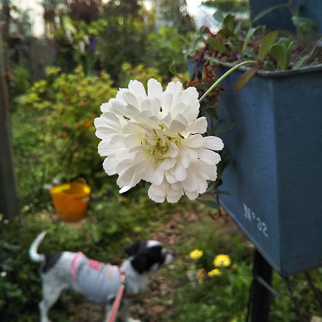 yukkoさんの実例写真