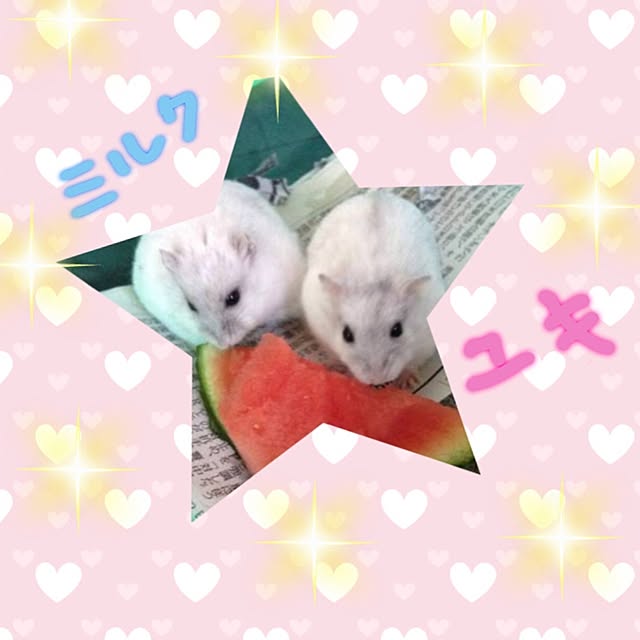 sayakaさんの実例写真