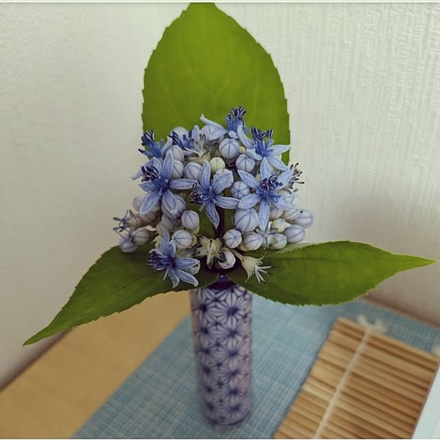 ku-garnet18さんの部屋