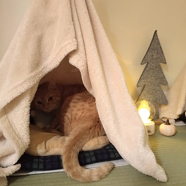mayutan.さんの部屋