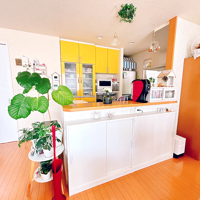 moolさんの実例写真