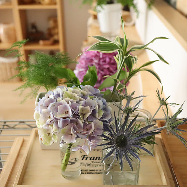Summerさんの部屋