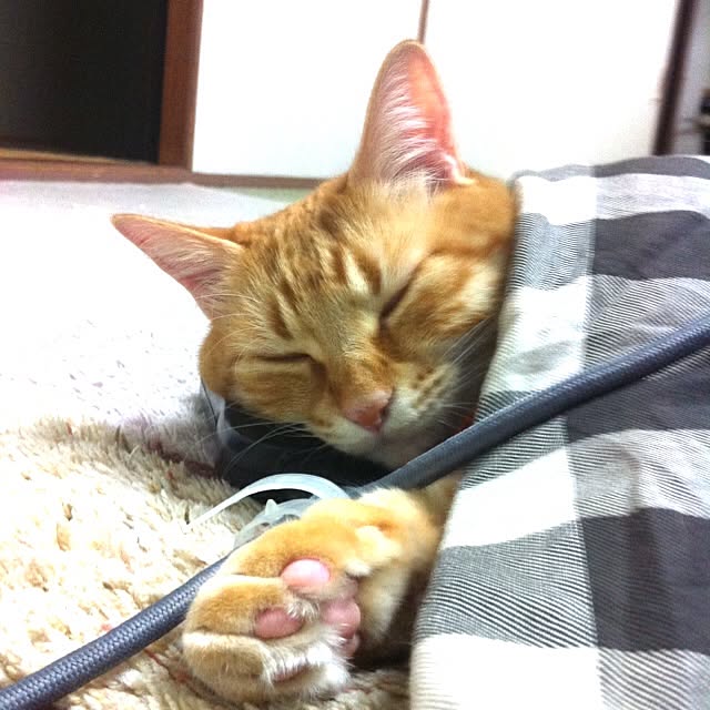 notさんの実例写真