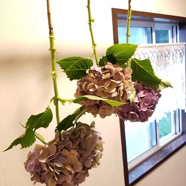 midoriさんの実例写真