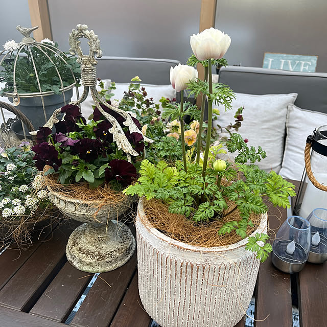 felicityさんの実例写真