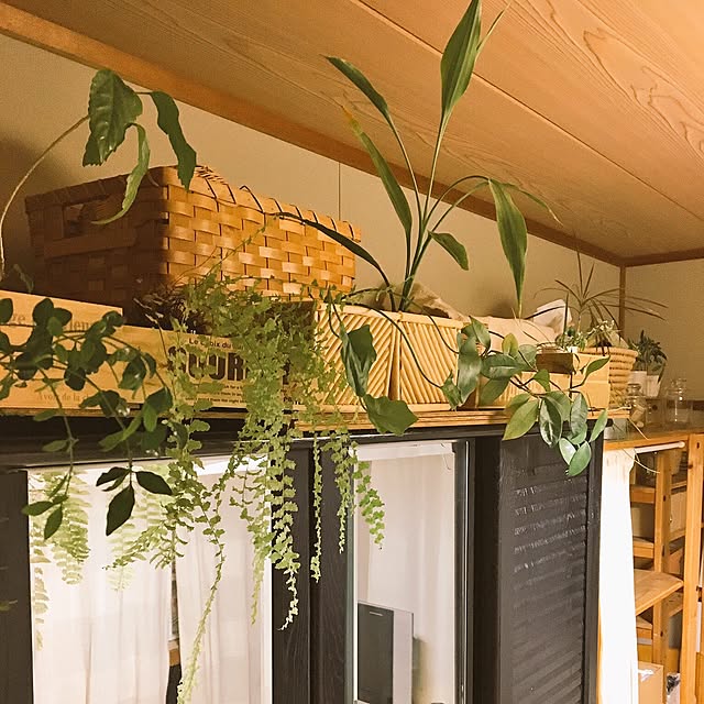 壁/天井のインテリア実例 - 2017-06-12 08:27:18