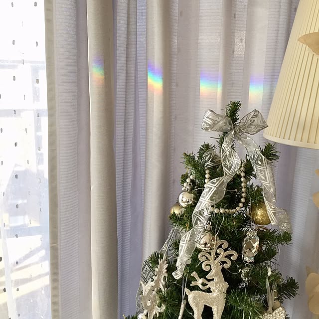 Rさんの実例写真