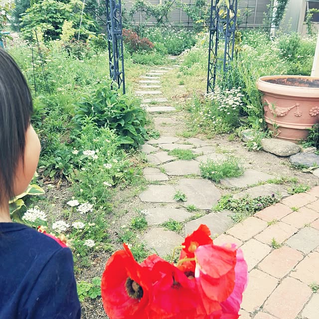noraさんの実例写真