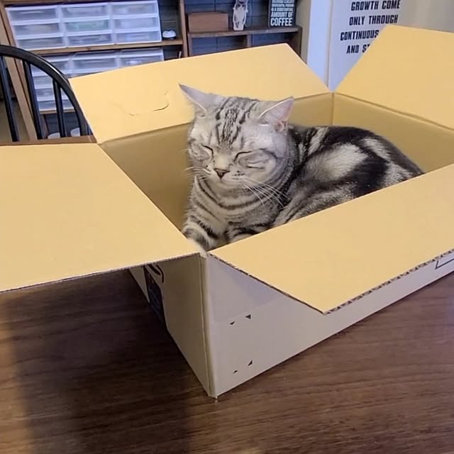 lovepeaceさんの部屋