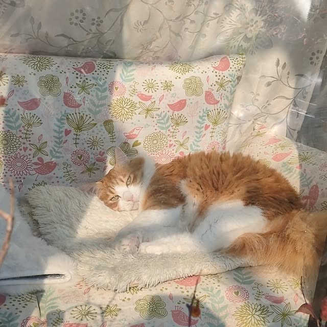 mori_6_12さんの部屋