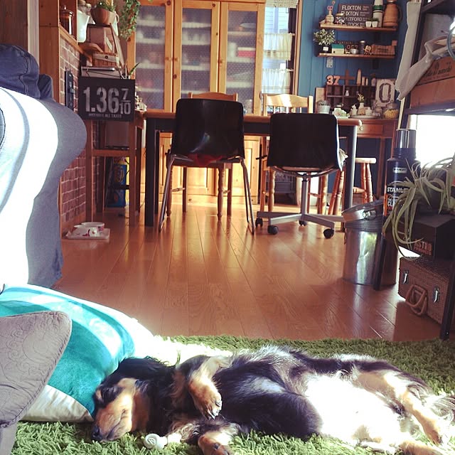 minaさんの実例写真