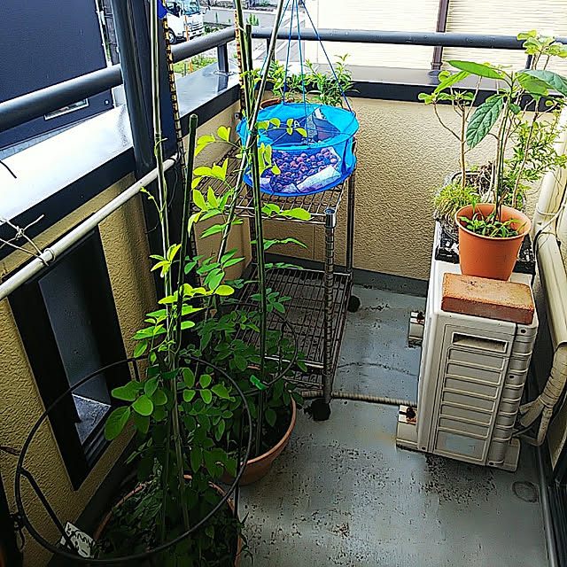 mitsuyama3136さんの実例写真