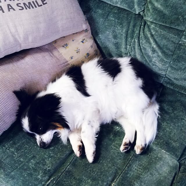 Smileberryさんの実例写真