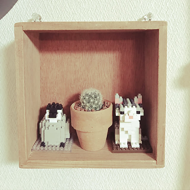 HANAさんの実例写真