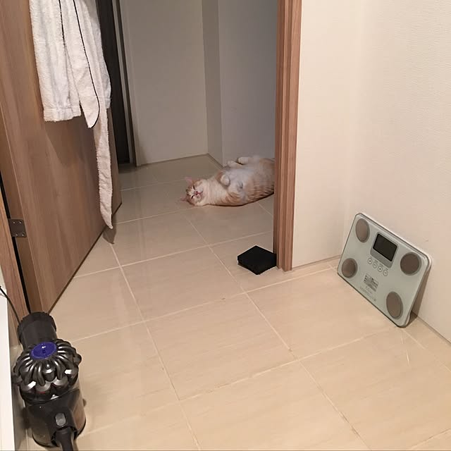 korinkorinさんの実例写真