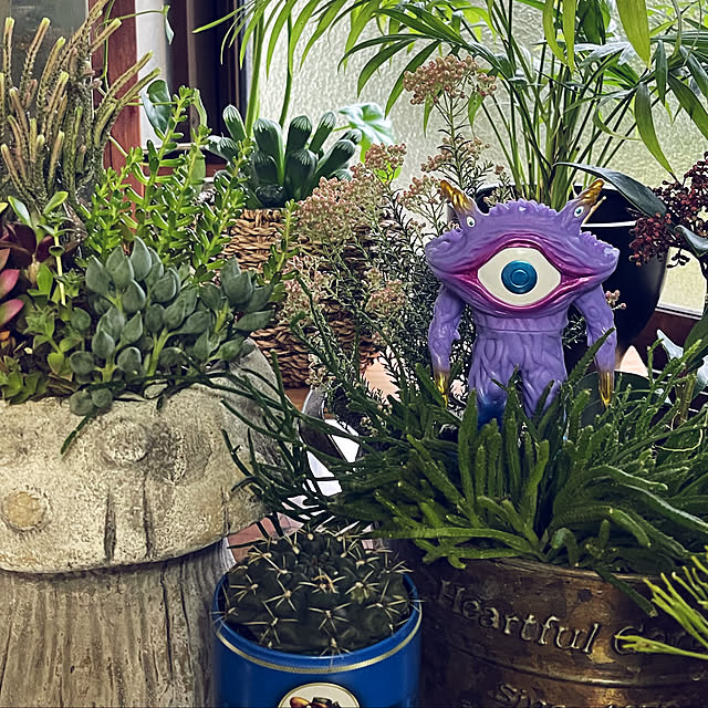 mamanさんの実例写真