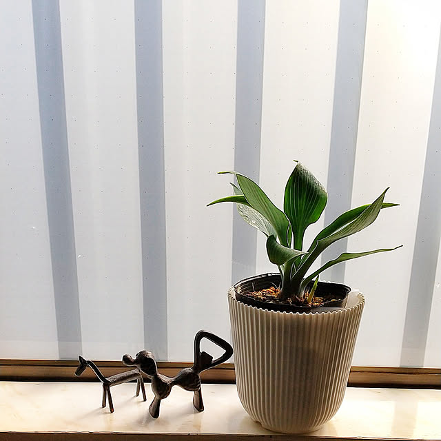 Renさんの実例写真