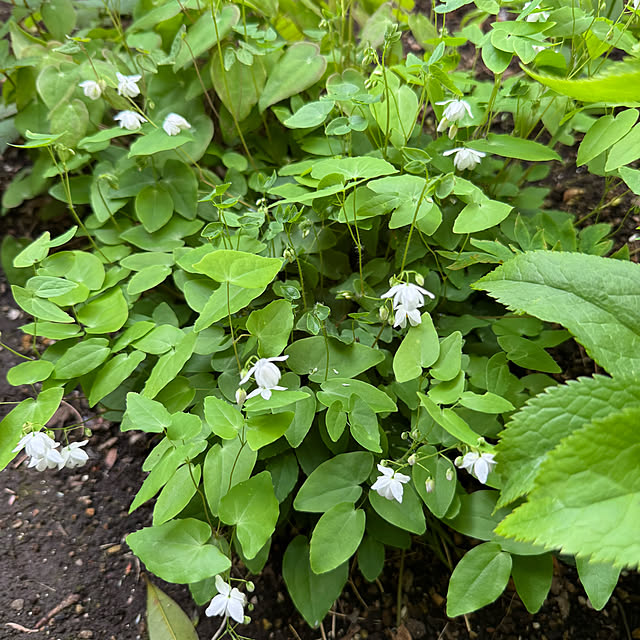 mamizaさんの部屋
