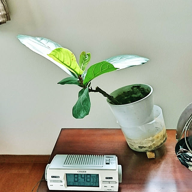 akiradesuさんの実例写真