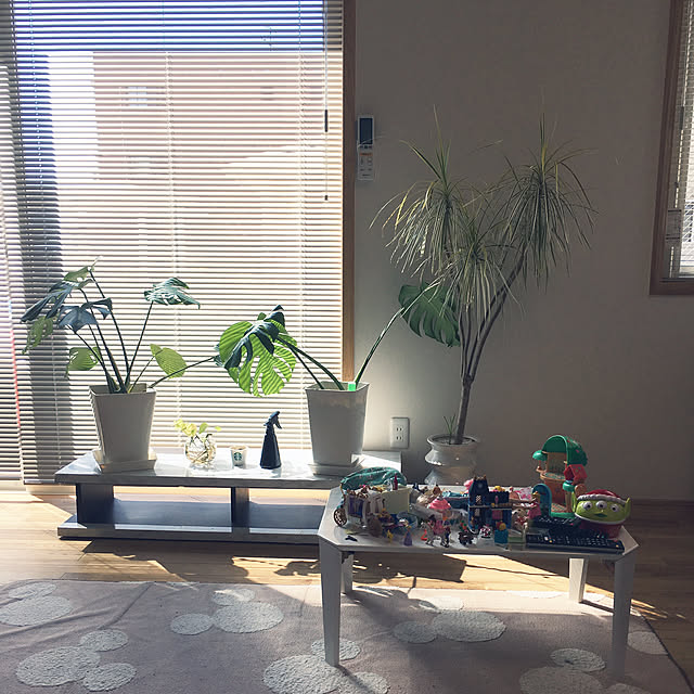 irohasuappleさんの実例写真