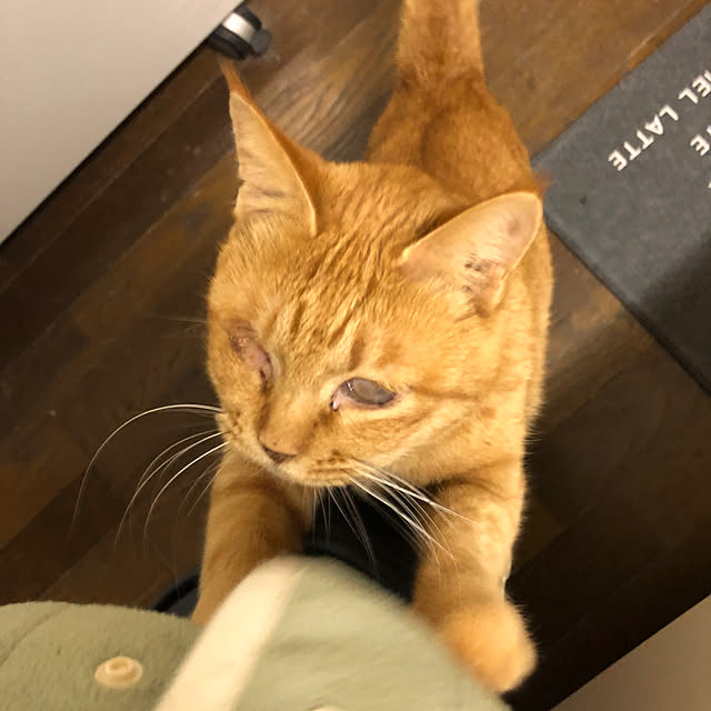 conatuさんの実例写真