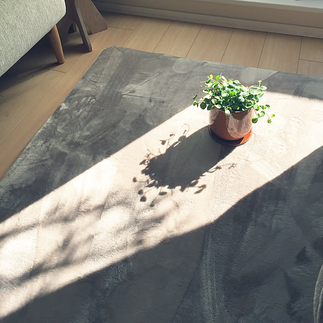 kotahiguさんの実例写真