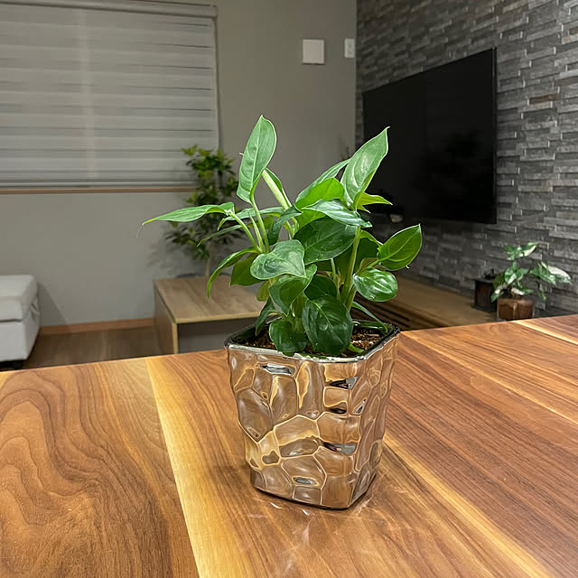 ikuzakさんの部屋