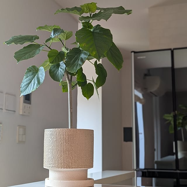 kumijiさんの部屋