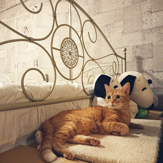 asuminさんの実例写真