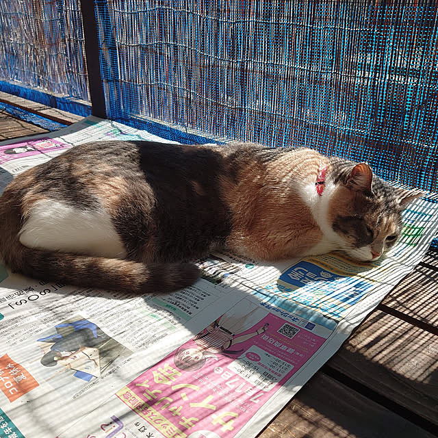 fukuさんの実例写真