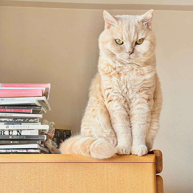 naokoさんの部屋