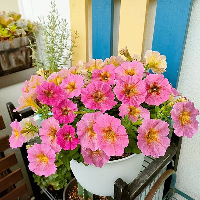 VERANDARJUNさんの実例写真