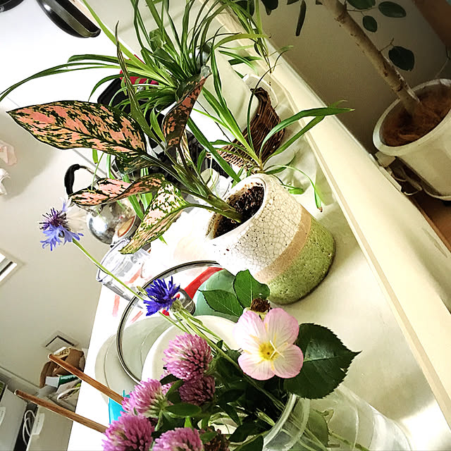 tmkさんの実例写真