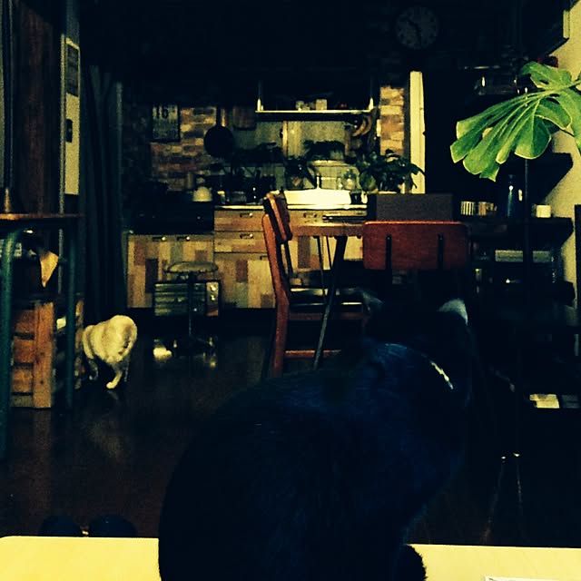 Naoki.さんの実例写真