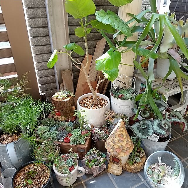 tomomiさんの部屋