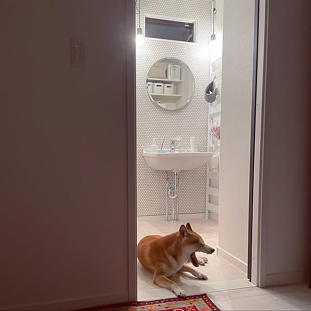 実例写真