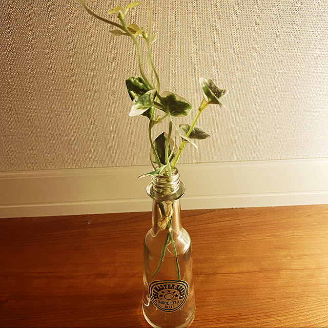 10969oorさんの実例写真