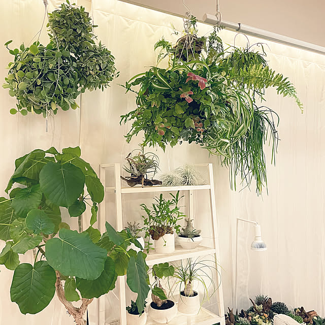 nanakoさんの実例写真