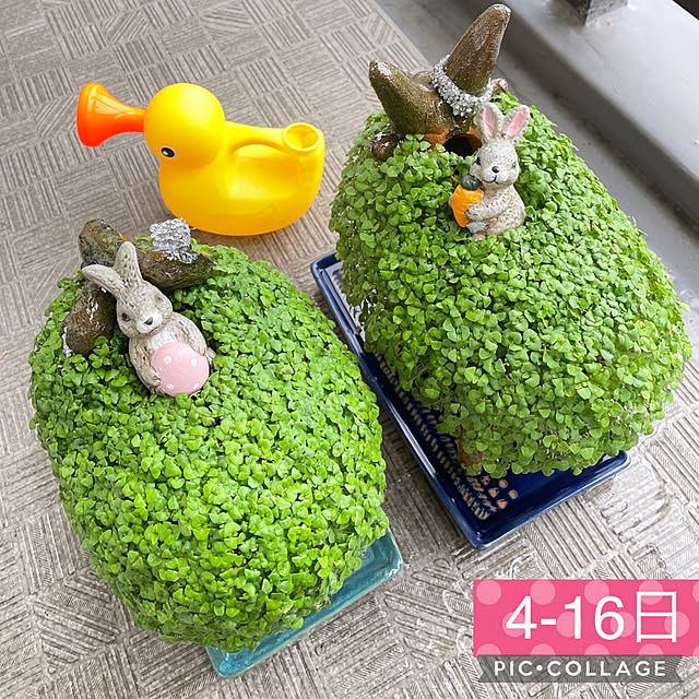 aureaさんの実例写真