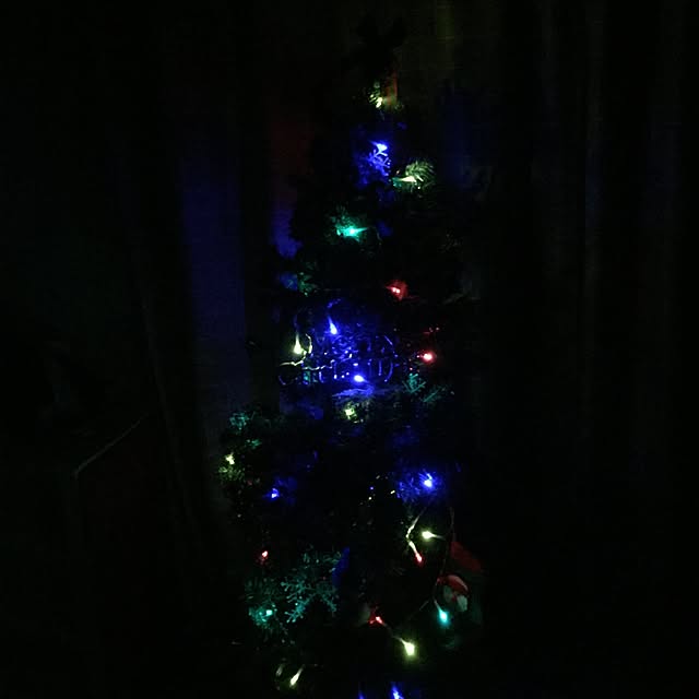 Veganさんの実例写真