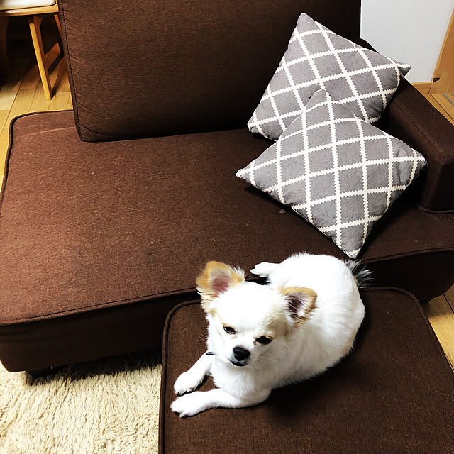 HARUさんの実例写真