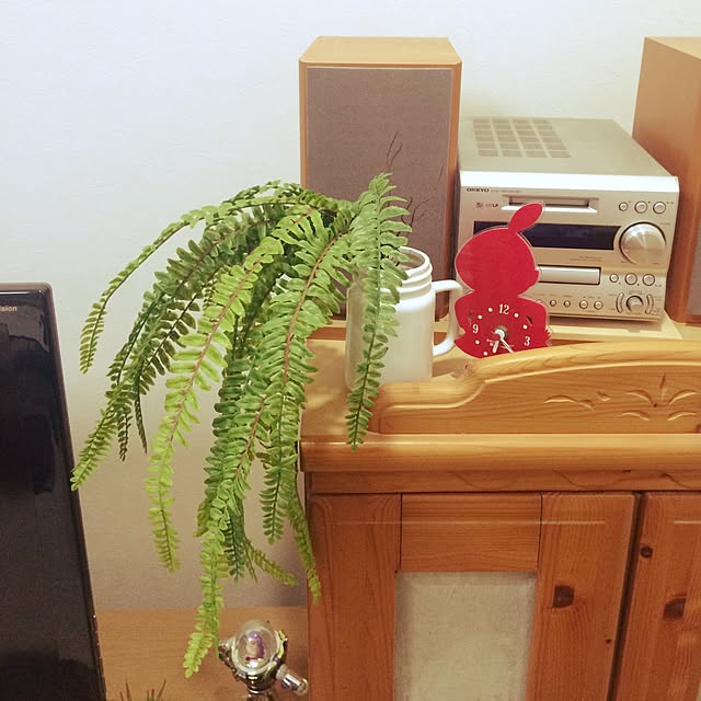 Junkoさんの実例写真