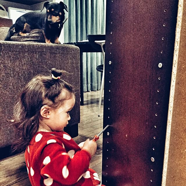 Tkさんの実例写真
