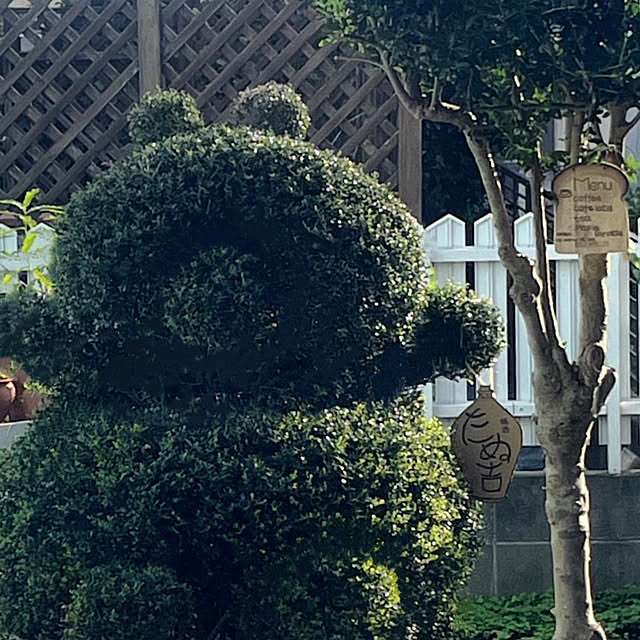 vol.3773写真