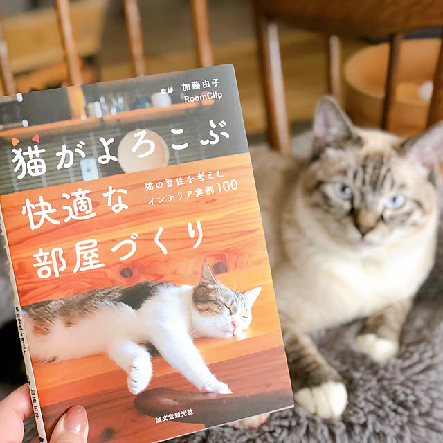 8717さんの実例写真