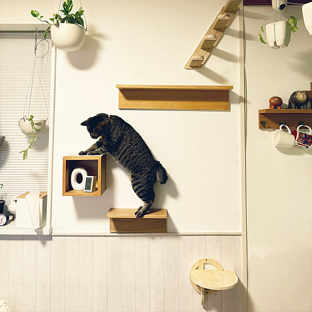 masamasaさんの実例写真