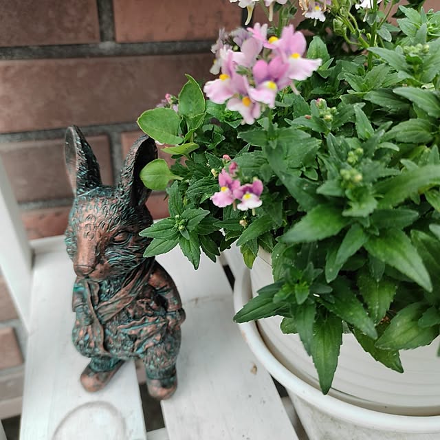 kiraさんの実例写真