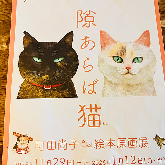 tomorinさんの部屋