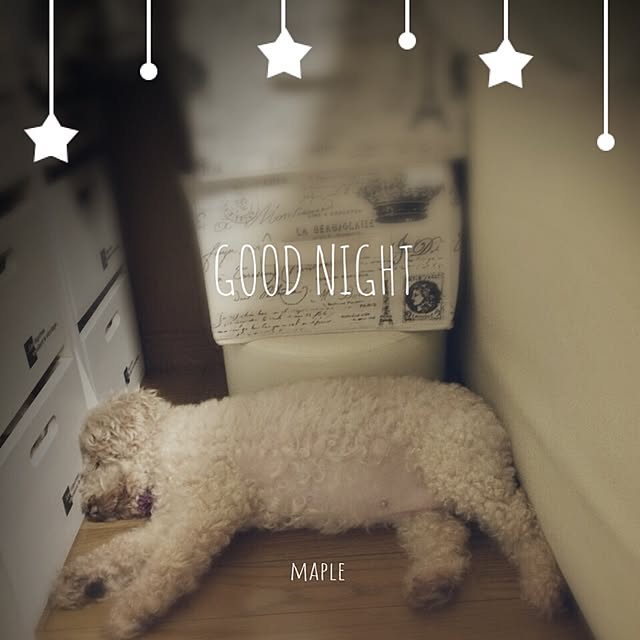 mapleさんの実例写真