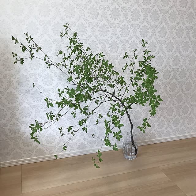 maikoさんの実例写真